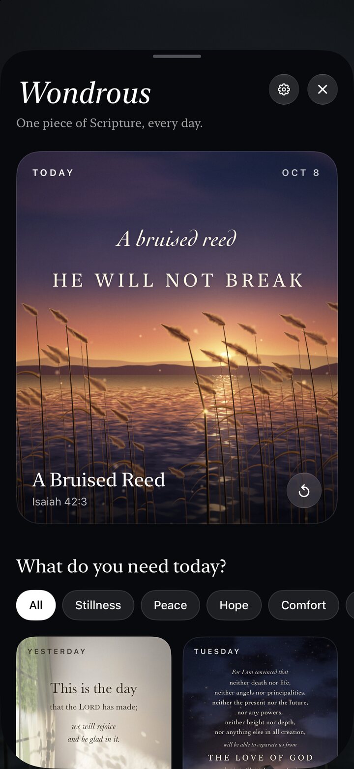 The library, with today’s piece, “A Bruised Reed”, above the question “What do you need today?” and a row of needs: stillness, peace, hope, comfort.