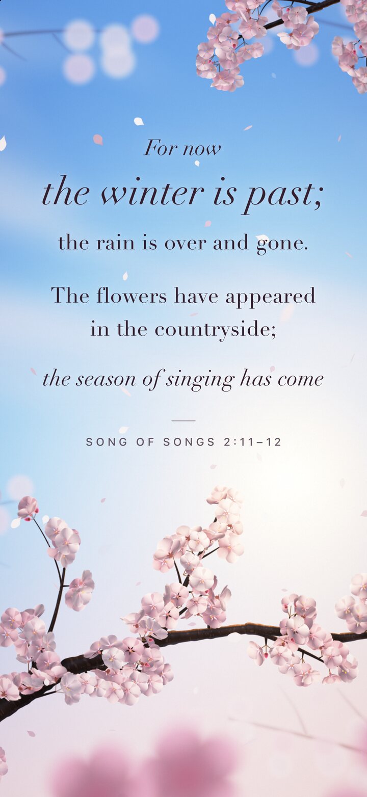 “For now the winter is past; the rain is over and gone”, set over branches of blossom against a pale spring sky.